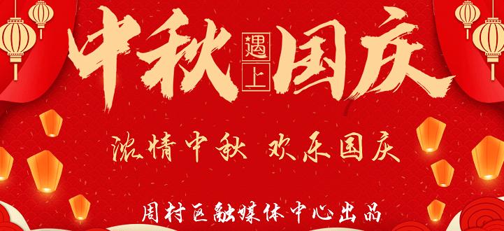 哈尼和她的宠物们